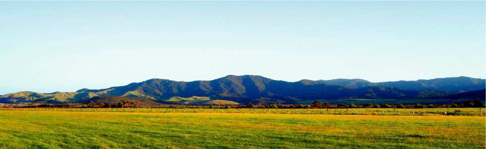 ニュージーランドの農場