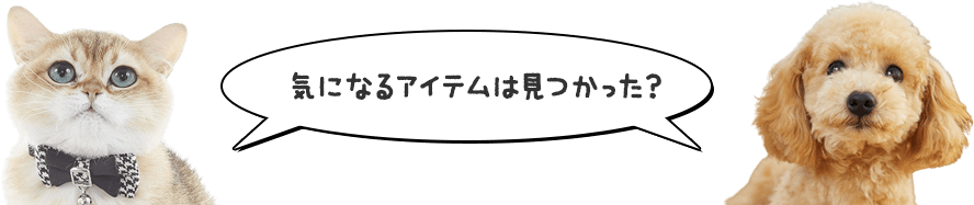 気になるアイテムは見つかった?