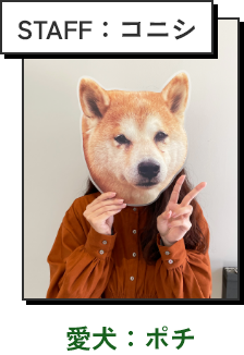 STAFF：コニシ 愛犬：ポチ