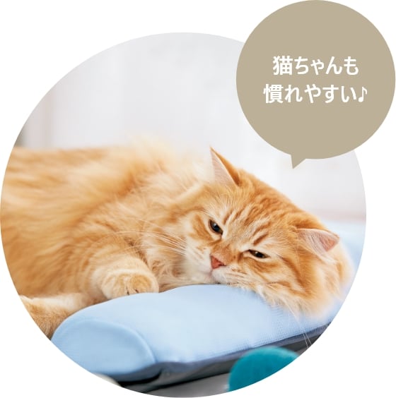 ネコちゃんも慣れやすい♪
