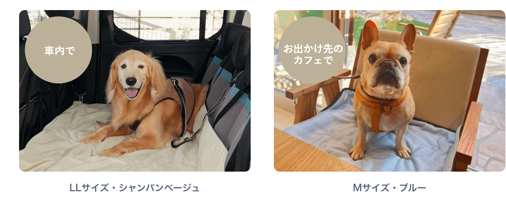 お出かけ先のカフェで