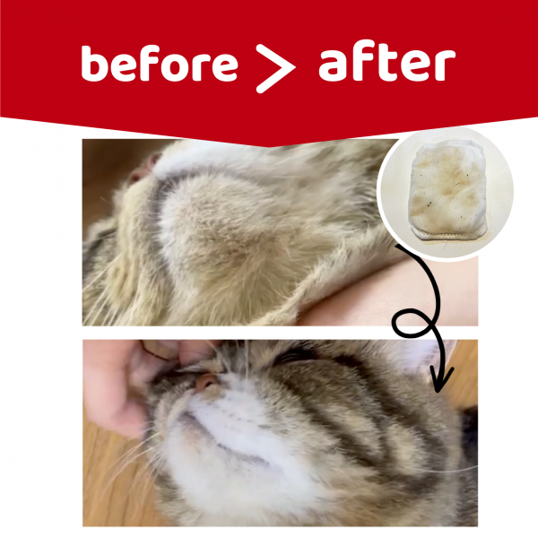 mofuwa(モフワ)猫あごクリーナー 