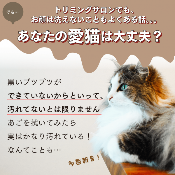 mofuwa(モフワ)猫あごクリーナー 