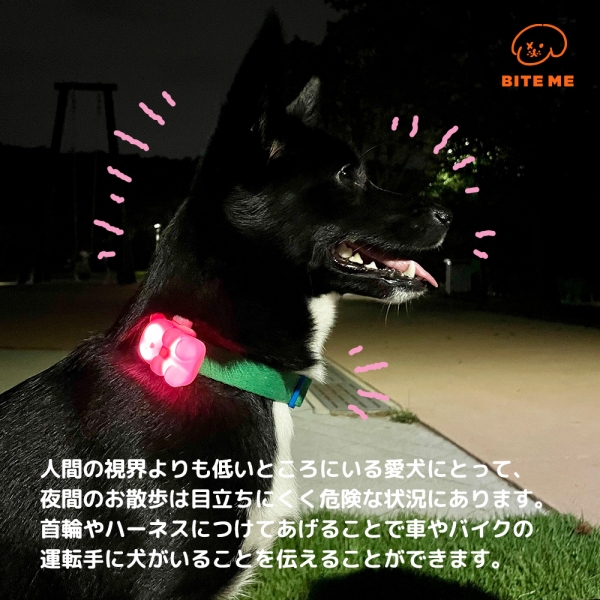 ジェリーベアＬＥＤライト 