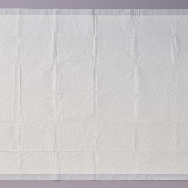 しつけるシーツＷ消臭ｎｅｏ ＭＥＧＡビッグ シート本体