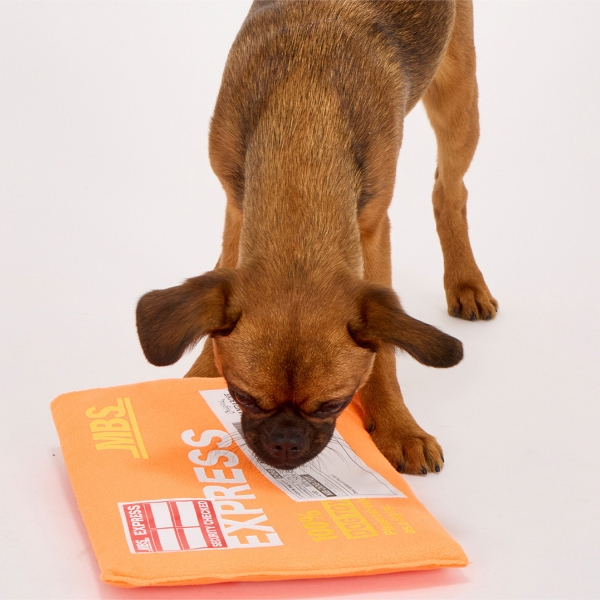 フライング エクスプレス トイ 