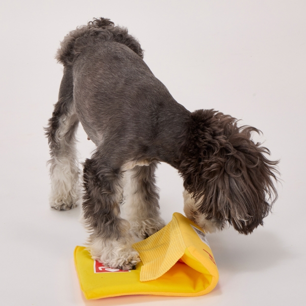 フライング エクスプレス トイ 