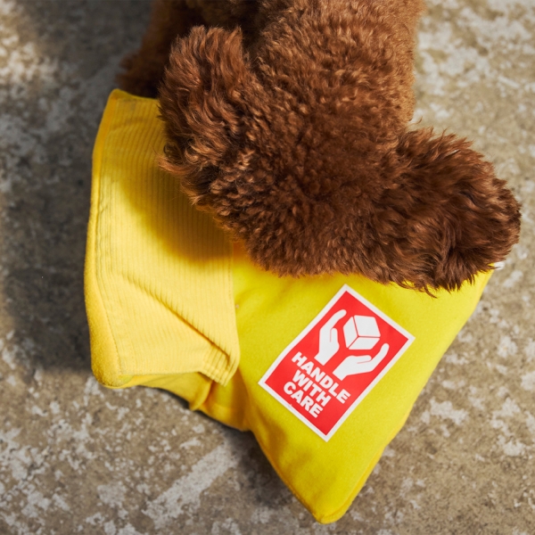 フライング エクスプレス トイ 