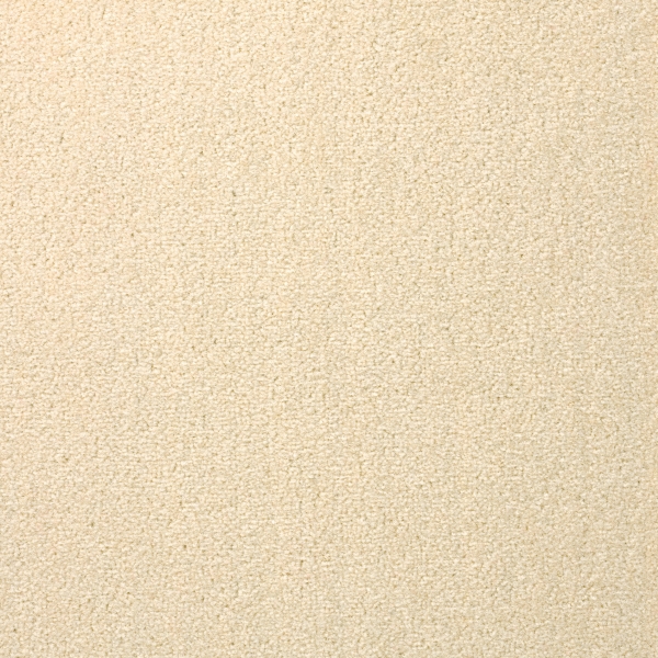 ウィズペットフロア クリーム