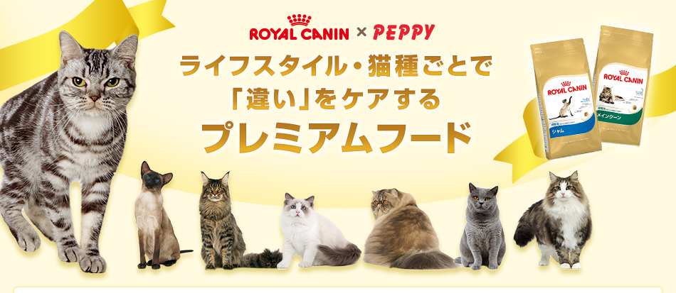 ロイヤルカナン ペルシャ チンチラ ヒマラヤン 成猫用 猫用ドライフード プレミアムフード ペット用品の通販サイト ペピイ Peppy