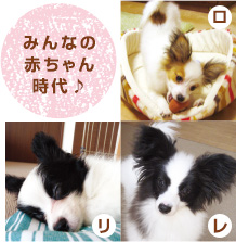 みんなの赤ちゃん時代♪