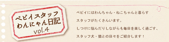ペピイスタッフわんにゃん日記