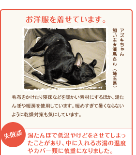 お洋服を着せています