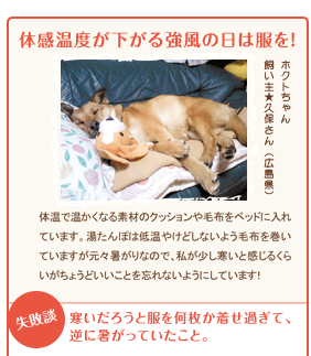 体感温度が下がる強風の日は服を！