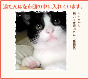 湯たんぽを布団の中に入れています。