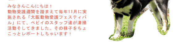 ペピイのスタッフ達が清掃活動そしてきました。