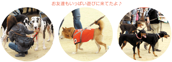 お友達もいっぱい遊びに来てたよ♪