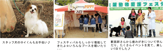 獣医師さんから歯みがきについて学んだり、たくさんイベントを見て、楽しい1日でした♪