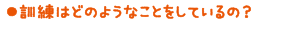 訓練はどのようなことをしているの？
