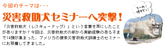 今回のテーマは・・・災害救助犬セミナーへ突撃！