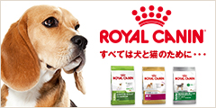 ロイヤルカナン