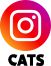 インスタグラム_CATS