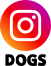 インスタグラム_DOGS