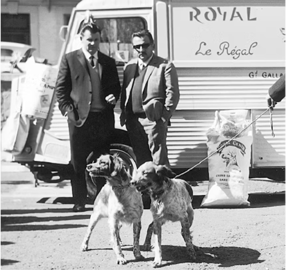 ROYALCANIN