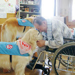 公益社団法人日本動物病院協会（JAHA）