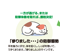 【一方が逃げる、または防御体勢を取れば、勝敗決定！】「参りました・・・」の防御体勢｜耳を後に伏せ、体を低くし、しっぽを巻いて、うずくまります。「参りました」のサインです。