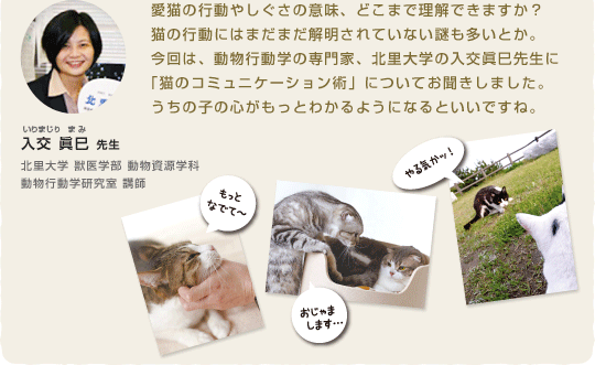 愛猫の行動やしぐさの意味、どこまで理解できますか？猫の行動にはまだまだ解明されていない謎も多いとか。今回は、動物行動学の専門家、北里大学の入交眞巳先生に「猫のコミュニケーション術」についてお聞きしました。うちの子の心がもっとわかるようになるといいですね。