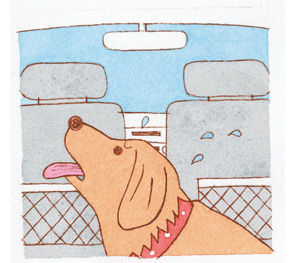 短い時間でも、愛犬を車内に残さないで。