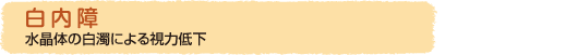 白内障