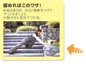 極めればこのワザ！余裕があれば、さらに角度をつけてやってみましょう。大型犬なら足元でマテを。