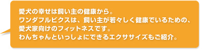 愛犬の幸せは飼い主の健康から。ワンダフルビクスは、飼い主が若々しく健康でいるための、愛犬家向けのフィットネスです。わんちゃんといっしょにできるエクササイズもご紹介。