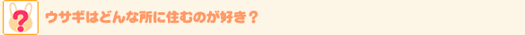 ウサギはどんな所に住むのが好き？