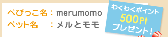 ぺぴっこ名：merumomo　ペット名：メルとモモ　わくわくポイント500Ptプレゼント！