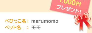 ぺぴっこ名：merumomo	ペット名：モモ　わくわくポイント1,000Ptプレゼント！