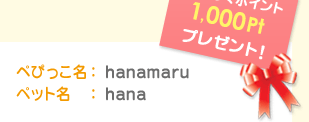 ぺぴっこ名：hanamaru	ペット名：hana　わくわくポイント1,000Ptプレゼント！