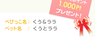 ぺぴっこ名：くう＆ララ　ペット名：くうとララ　わくわくポイント1,000Ptプレゼント！