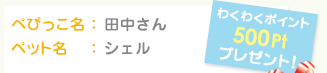 ぺぴっこ名：田中さん	ペット名：シェル　わくわくポイント500Ptプレゼント！