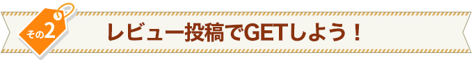その2 レビュー投稿でGETしよう!