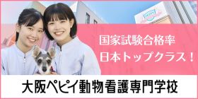 大阪ペピイ動物看護専門学校
