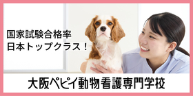 大阪ペピイ動物看護専門学校