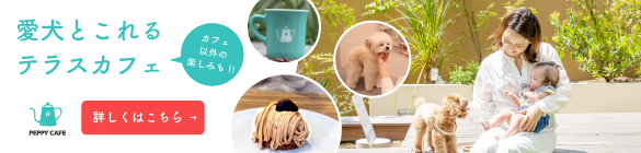 愛犬とこれるテラスカフェ