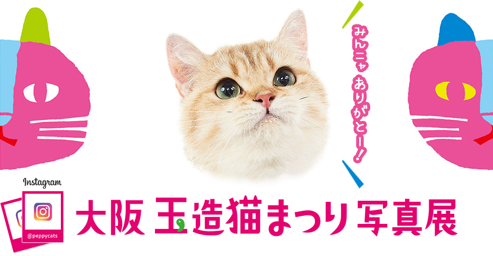 大阪玉造猫まつり写真展
