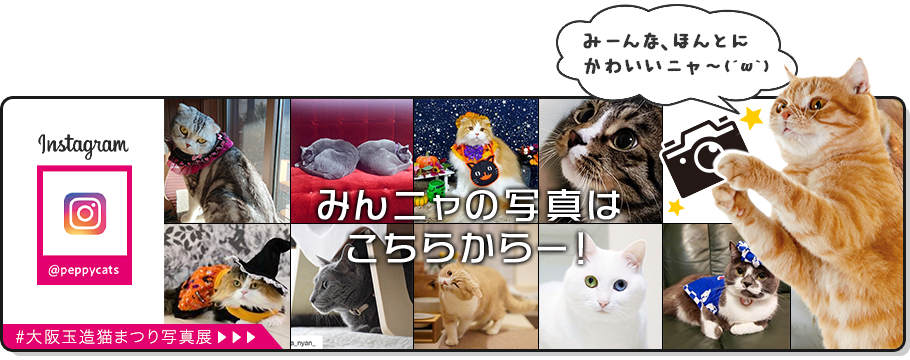 大阪玉造猫まつり写真展