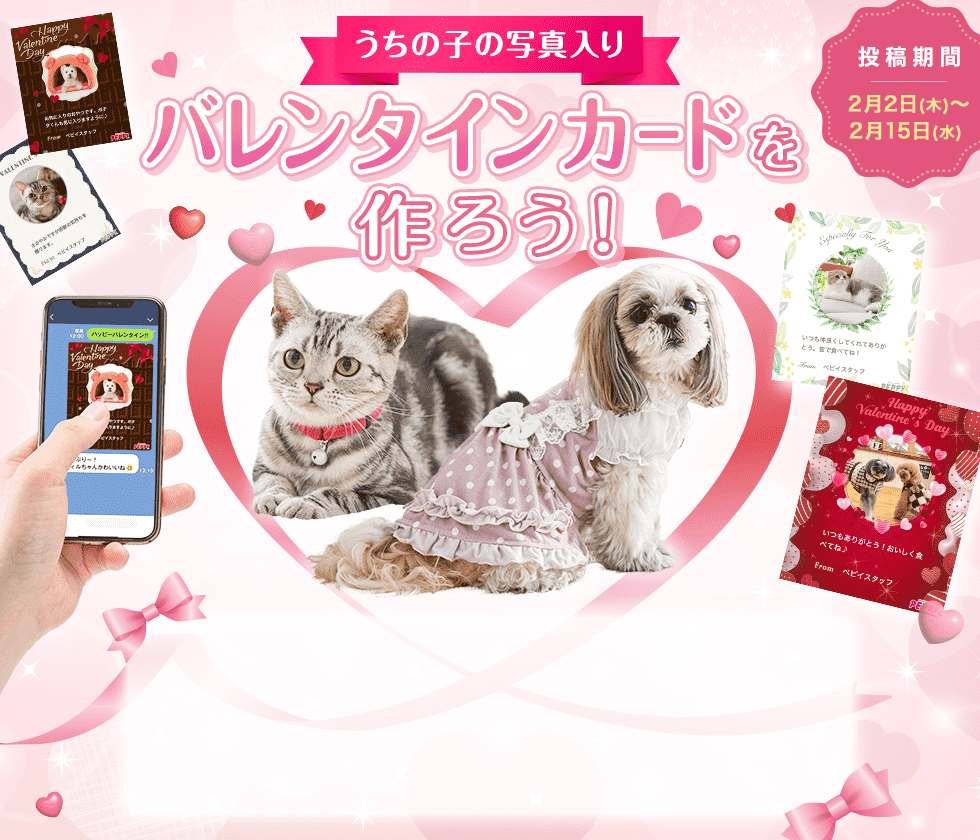 【保存・印刷OK！】愛犬・愛猫の写真入りのバレンタインカードを作ろう♪