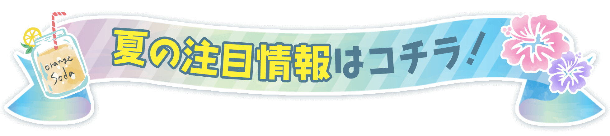 夏の注目情報はコチラ！