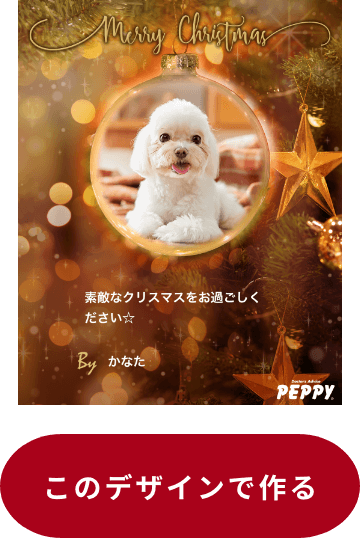 お星さまにお願いッ!